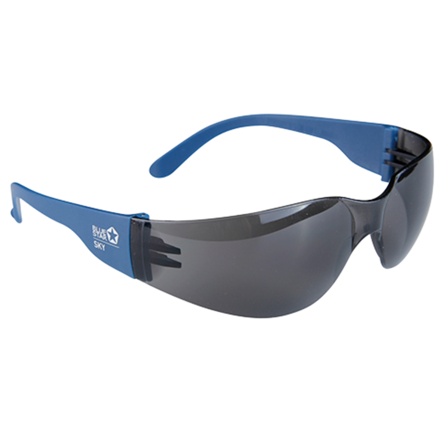 Bluestar Sikkerhedsbriller SKY A-D UV